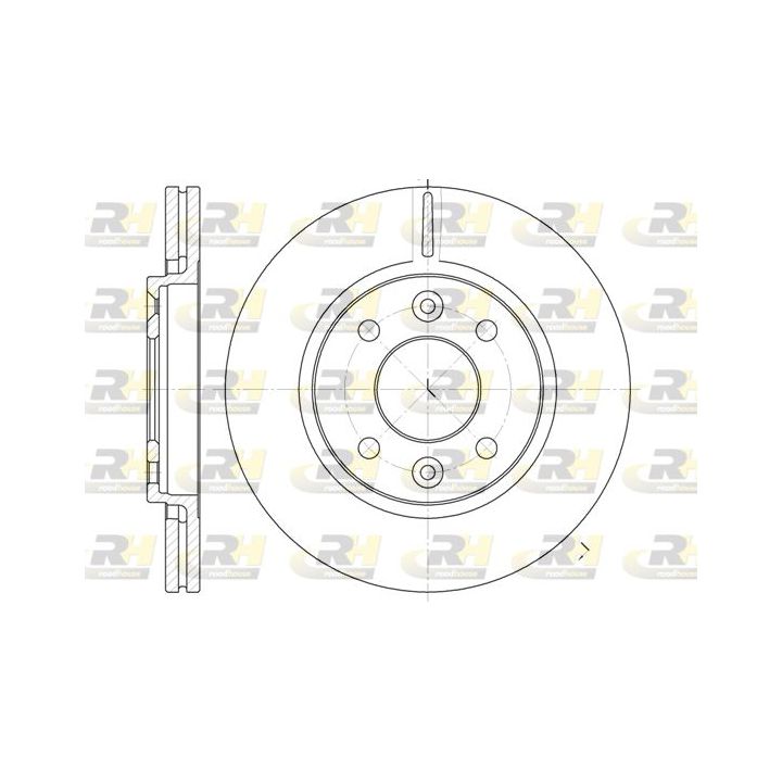 Stabdžių diskas ROADHOUSE 6117.10