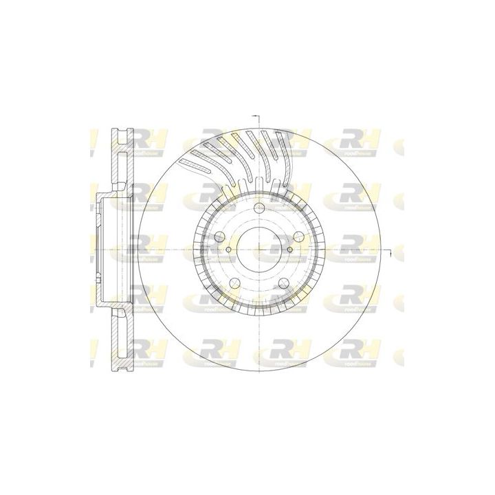 Stabdžių diskas ROADHOUSE 61179.10