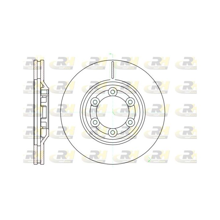 Stabdžių diskas ROADHOUSE 61193.10