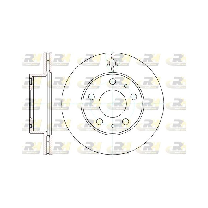 Stabdžių diskas ROADHOUSE 61204.10