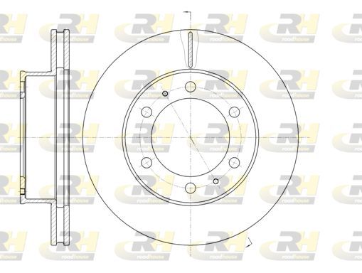 Stabdžių diskas ROADHOUSE 61205.10