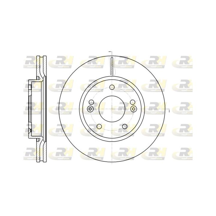 Stabdžių diskas ROADHOUSE 61208.10