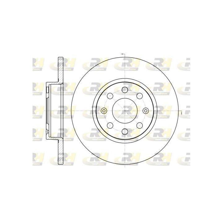 Stabdžių diskas ROADHOUSE 61209.00