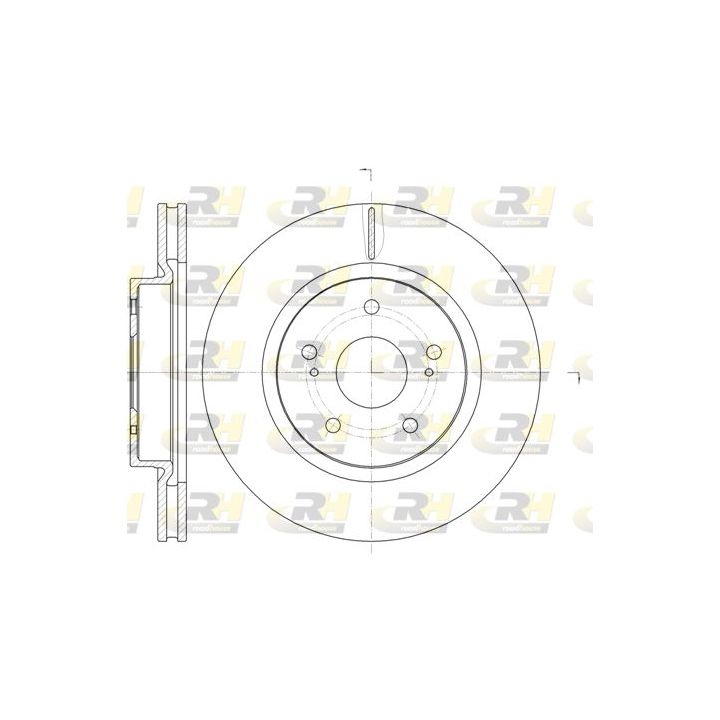 Stabdžių diskas ROADHOUSE 61212.10