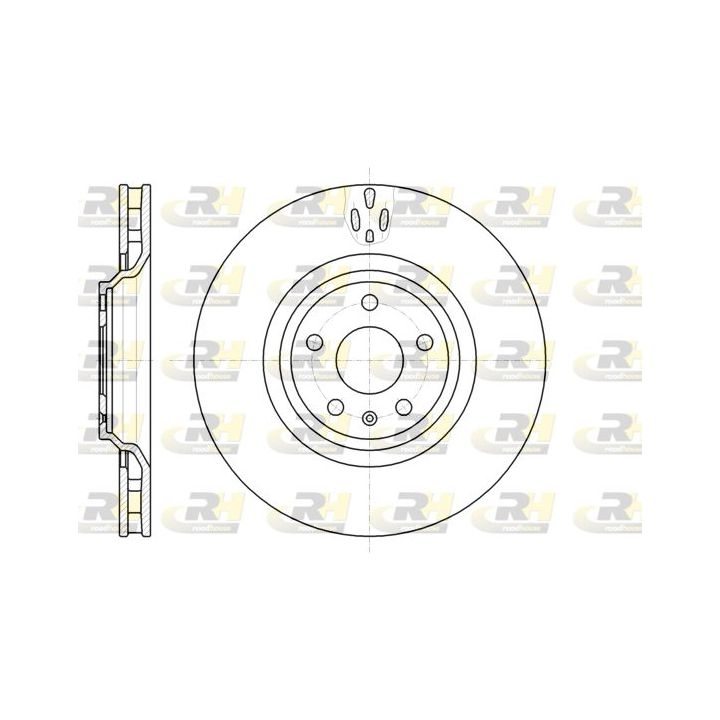 Stabdžių diskas ROADHOUSE 61213.10