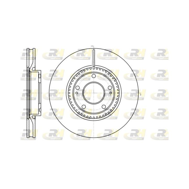 Stabdžių diskas ROADHOUSE 61217.10
