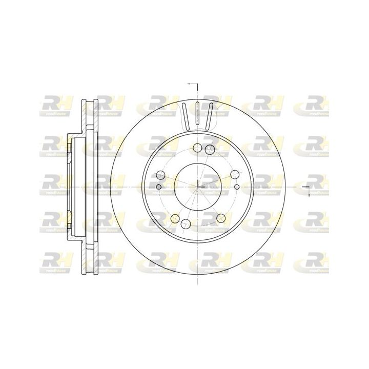 Stabdžių diskas ROADHOUSE 61220.10