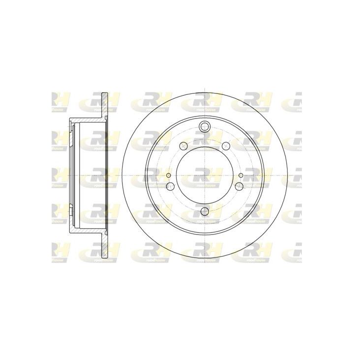 Stabdžių diskas ROADHOUSE 61230.00