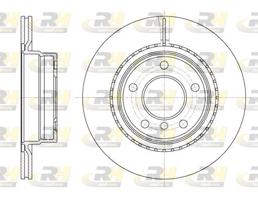 Stabdžių diskas ROADHOUSE 61231.10