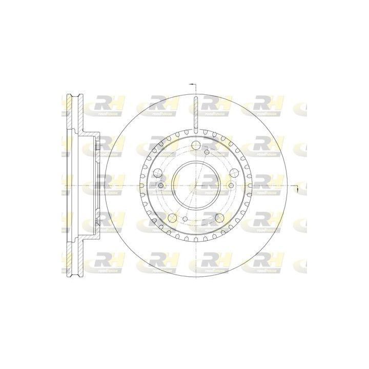 Stabdžių diskas ROADHOUSE 61232.10