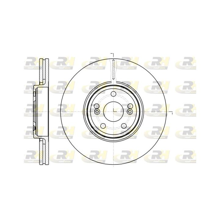 Stabdžių diskas ROADHOUSE 61234.10