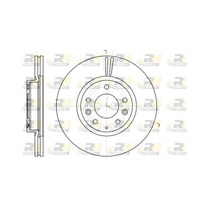 Stabdžių diskas ROADHOUSE 61235.10