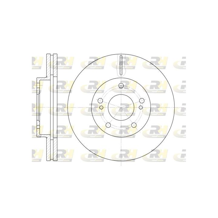 Stabdžių diskas ROADHOUSE 61242.10