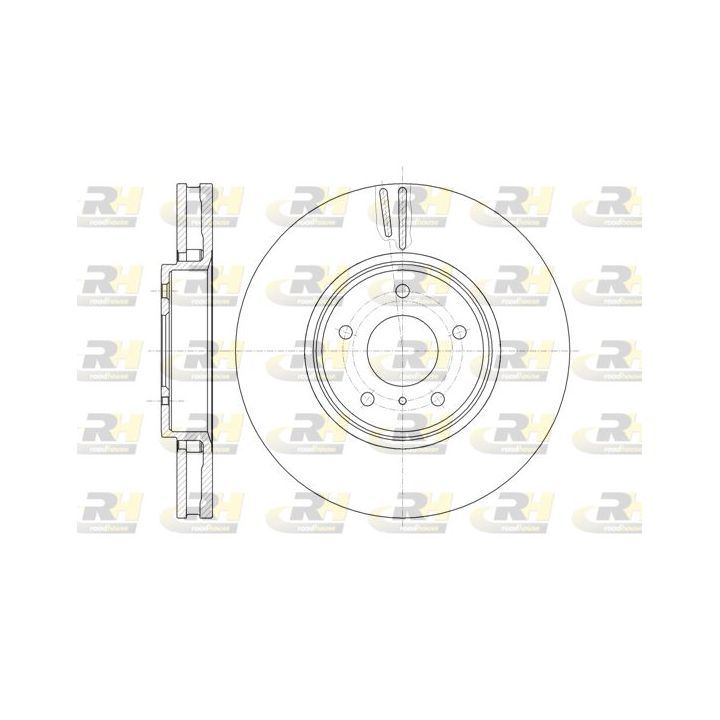 Stabdžių diskas ROADHOUSE 61244.10