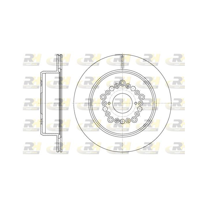 Stabdžių diskas ROADHOUSE 61254.10