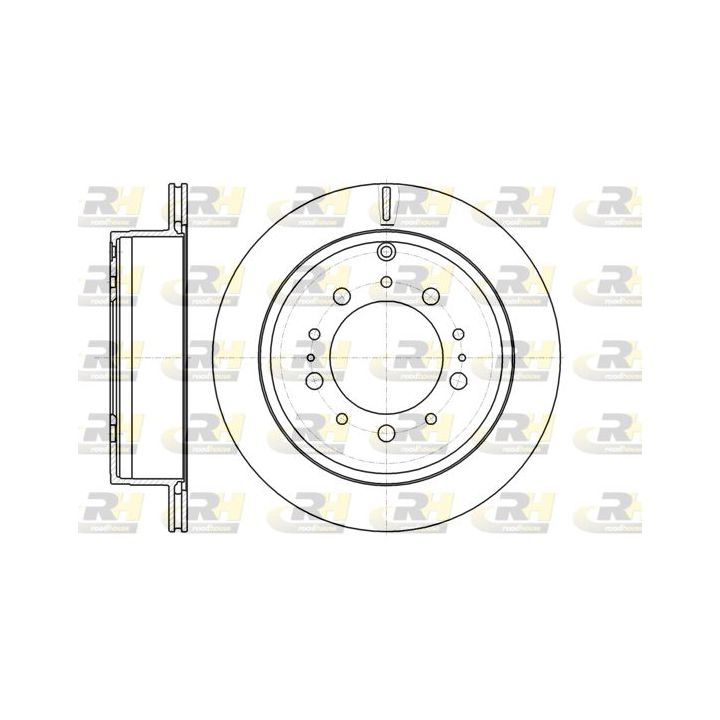 Stabdžių diskas ROADHOUSE 61257.10