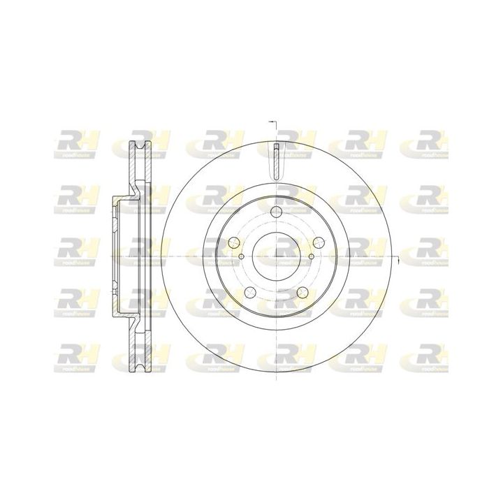 Stabdžių diskas ROADHOUSE 61259.10