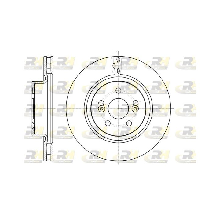 Stabdžių diskas ROADHOUSE 61264.10