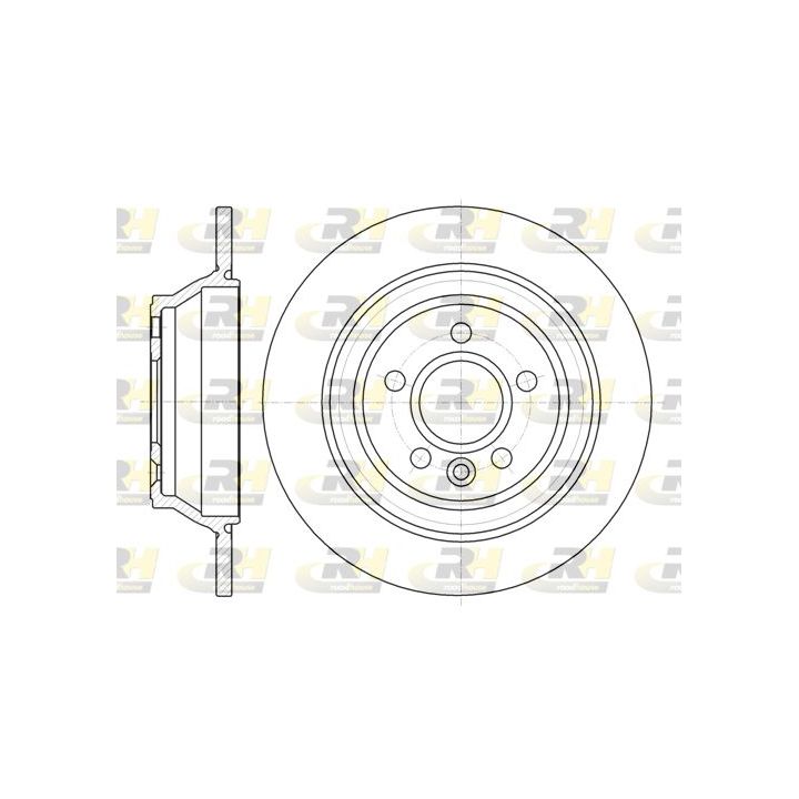 Stabdžių diskas ROADHOUSE 61265.00