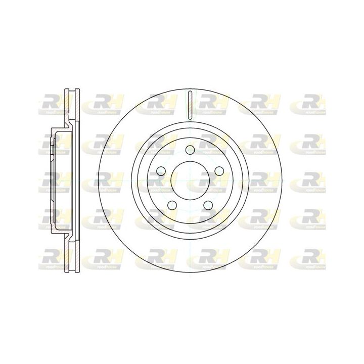 Stabdžių diskas ROADHOUSE 61269.10