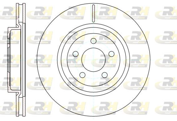 Stabdžių diskas ROADHOUSE 61269.10