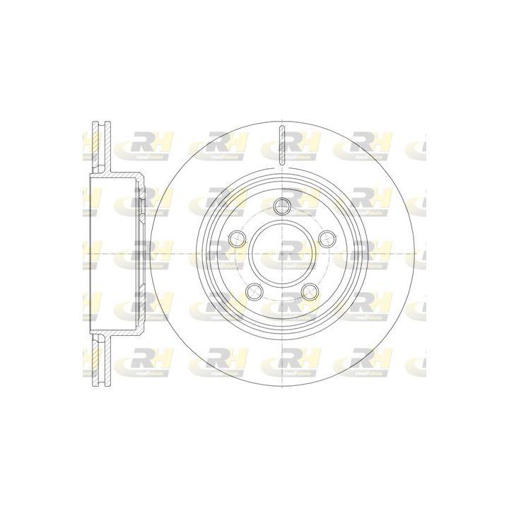 Stabdžių diskas ROADHOUSE 61270.10