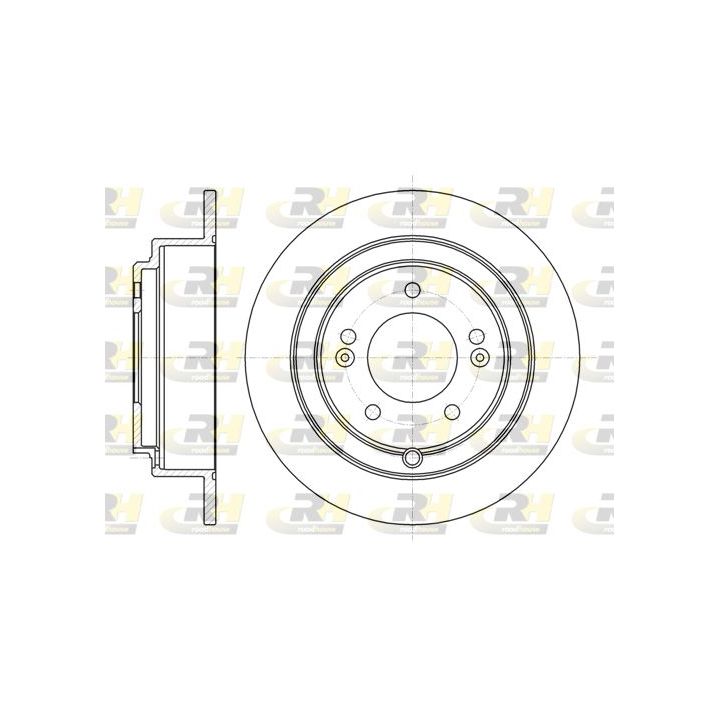 Stabdžių diskas ROADHOUSE 61276.00