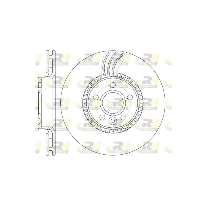 Stabdžių diskas ROADHOUSE 61280.10