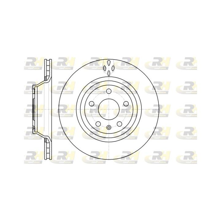 Stabdžių diskas ROADHOUSE 61281.10