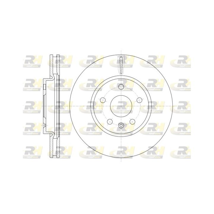 Stabdžių diskas ROADHOUSE 61286.10