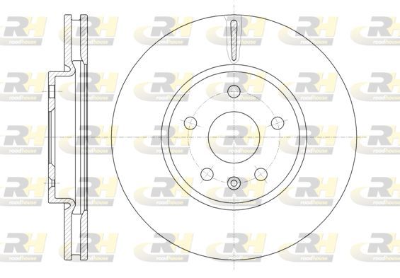 Stabdžių diskas ROADHOUSE 61286.10