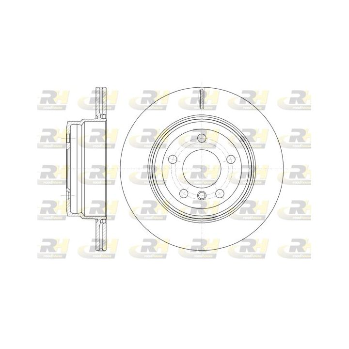 Stabdžių diskas ROADHOUSE 61287.10