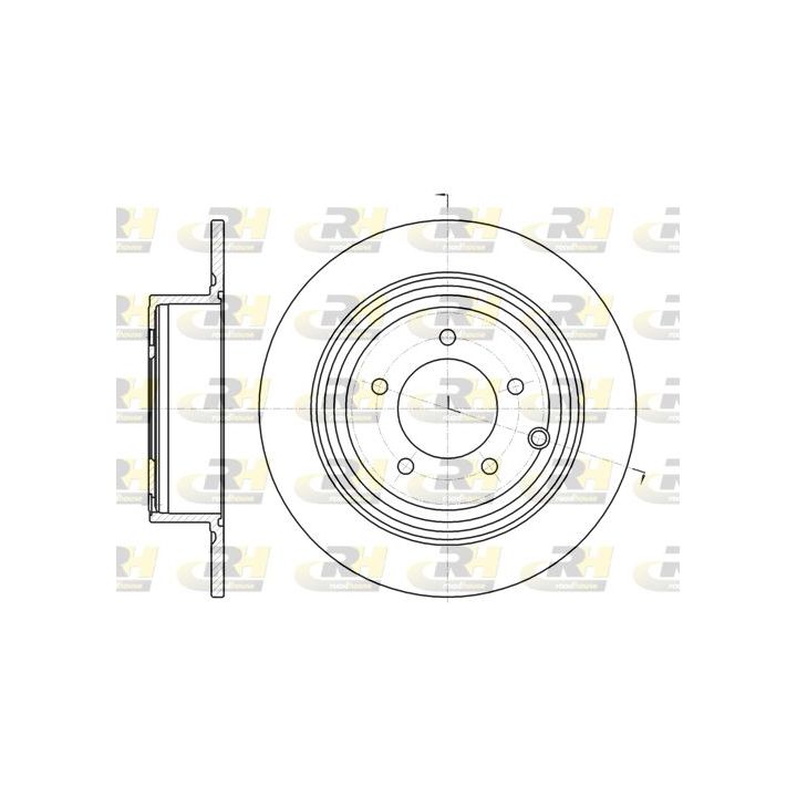 Stabdžių diskas ROADHOUSE 61290.00