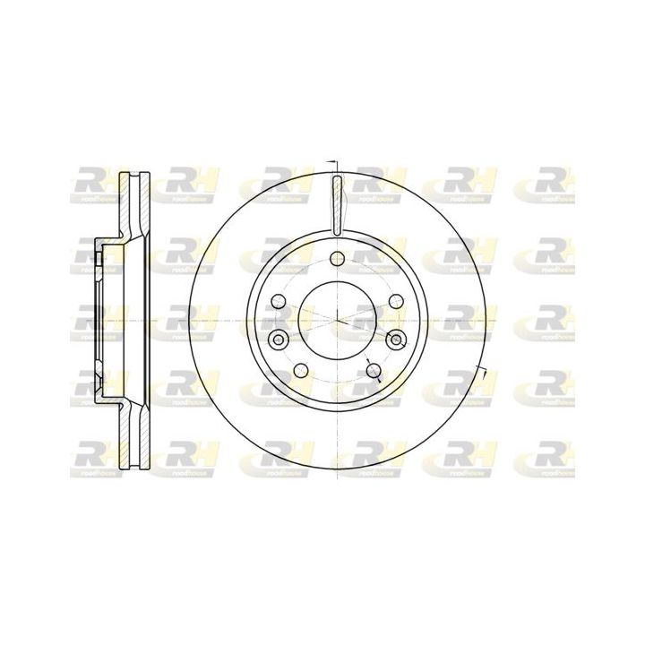 Stabdžių diskas ROADHOUSE 61294.10