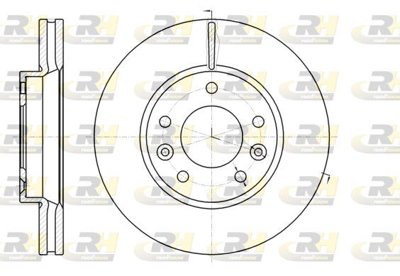 Stabdžių diskas ROADHOUSE 61294.10
