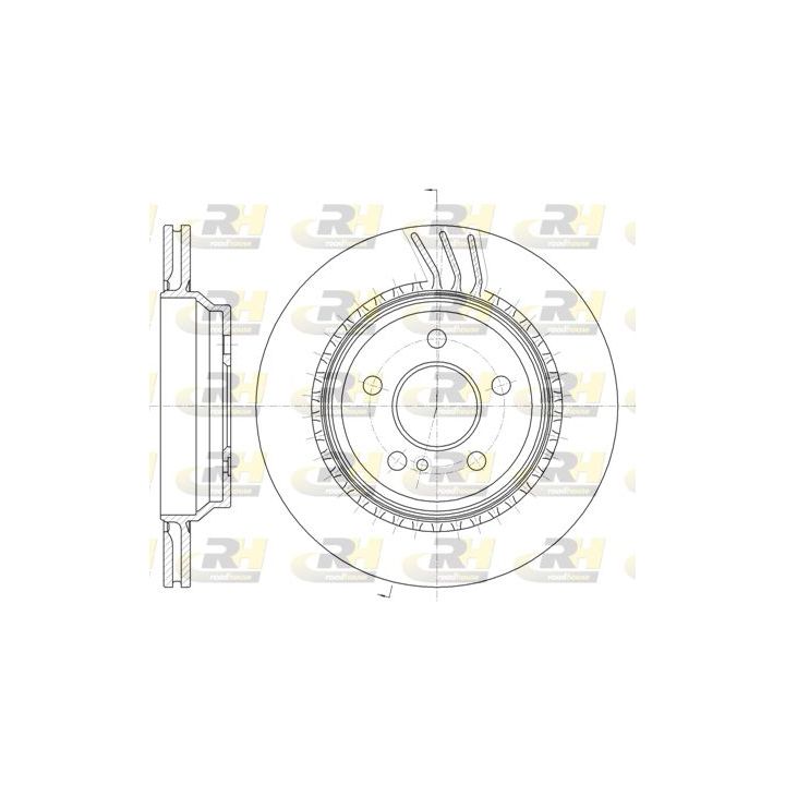 Stabdžių diskas ROADHOUSE 61296.10