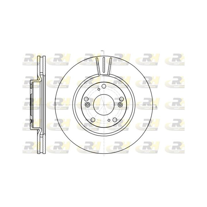 Stabdžių diskas ROADHOUSE 61297.10