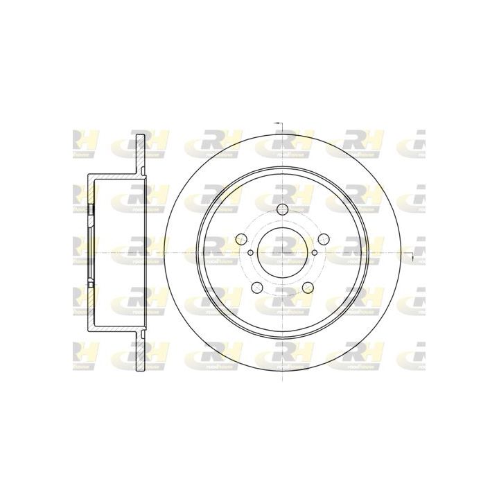 Stabdžių diskas ROADHOUSE 61300.00