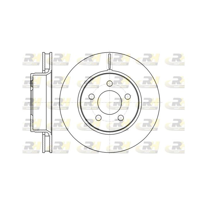 Stabdžių diskas ROADHOUSE 61301.10