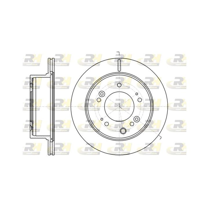 Stabdžių diskas ROADHOUSE 61306.10