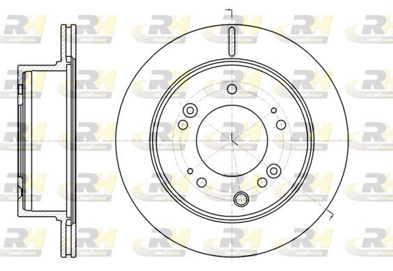 Stabdžių diskas ROADHOUSE 61306.10
