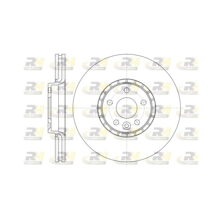 Stabdžių diskas ROADHOUSE 61319.10