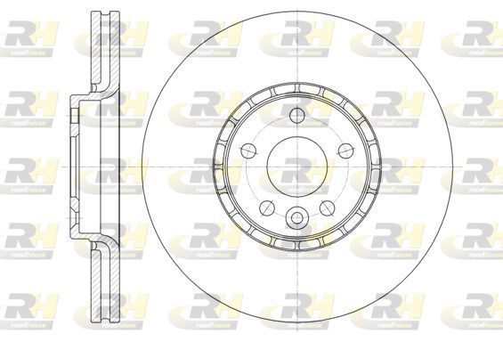 Stabdžių diskas ROADHOUSE 61319.10