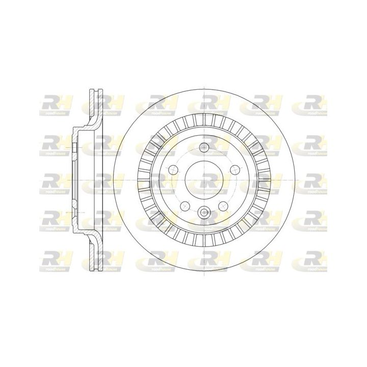 Stabdžių diskas ROADHOUSE 61320.10