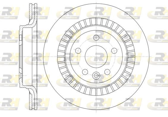 Stabdžių diskas ROADHOUSE 61320.10