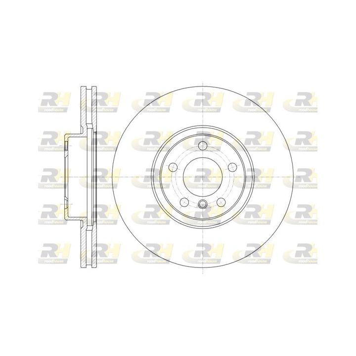 Stabdžių diskas ROADHOUSE 61335.10