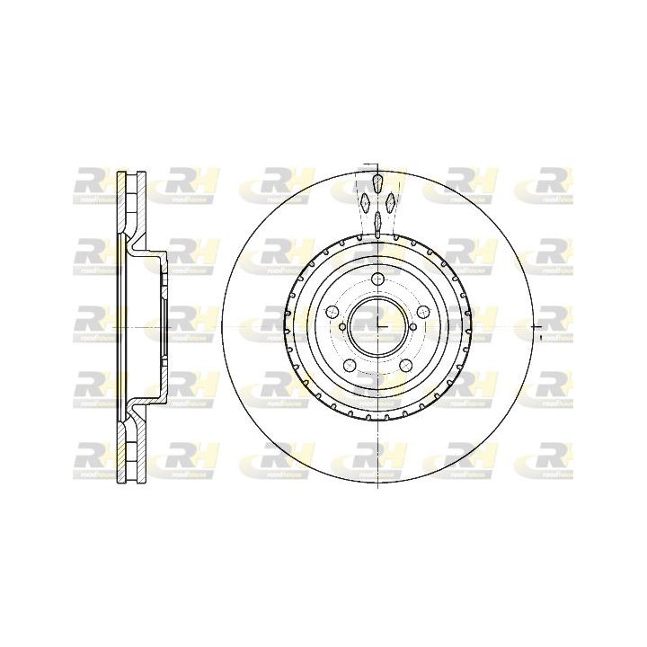 Stabdžių diskas ROADHOUSE 61341.10