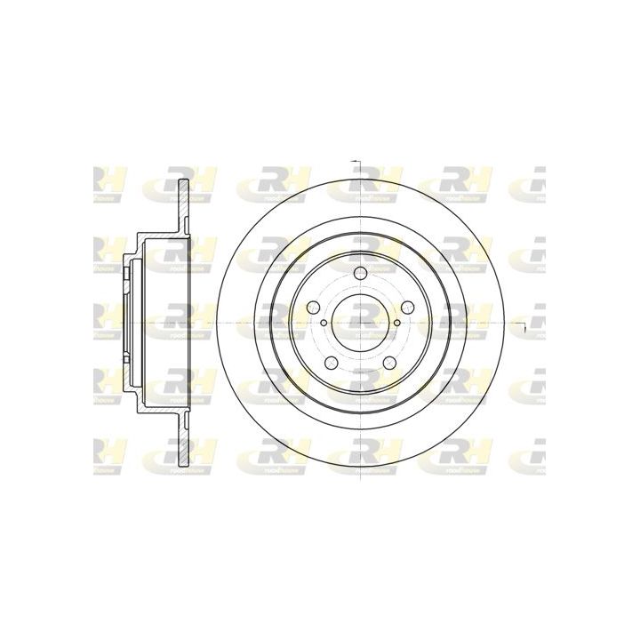 Stabdžių diskas ROADHOUSE 61343.00