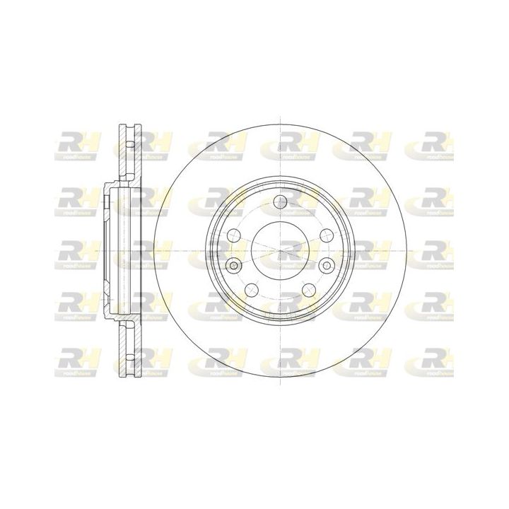 Stabdžių diskas ROADHOUSE 61344.10