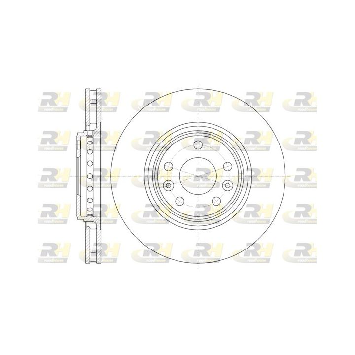 Stabdžių diskas ROADHOUSE 61345.10